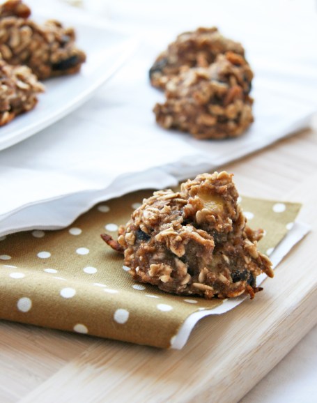 trail mix cookies src3