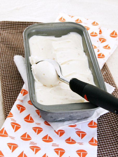 toasted coconut ice cream scoop1