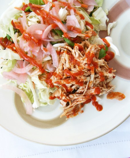 shredded bbq chicken slaw