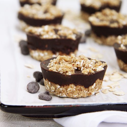 Oat Fudge Bites