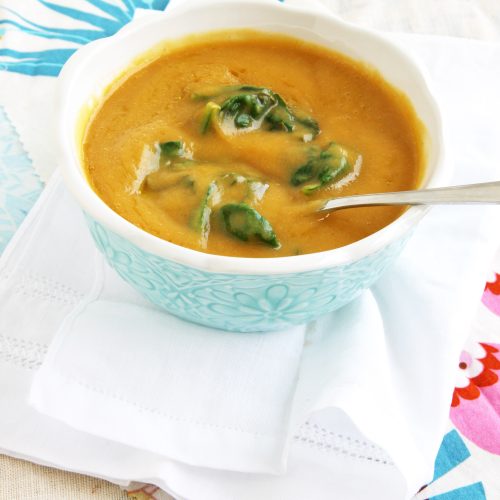 Triple Squash Veggie Soup